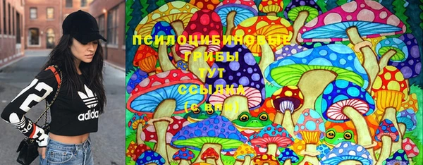 СК Балахна